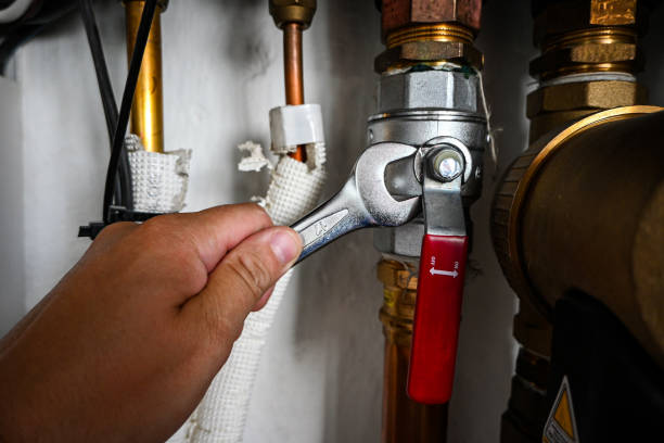 Best Plumbing Repair Near Me  in Sturtevant, WI